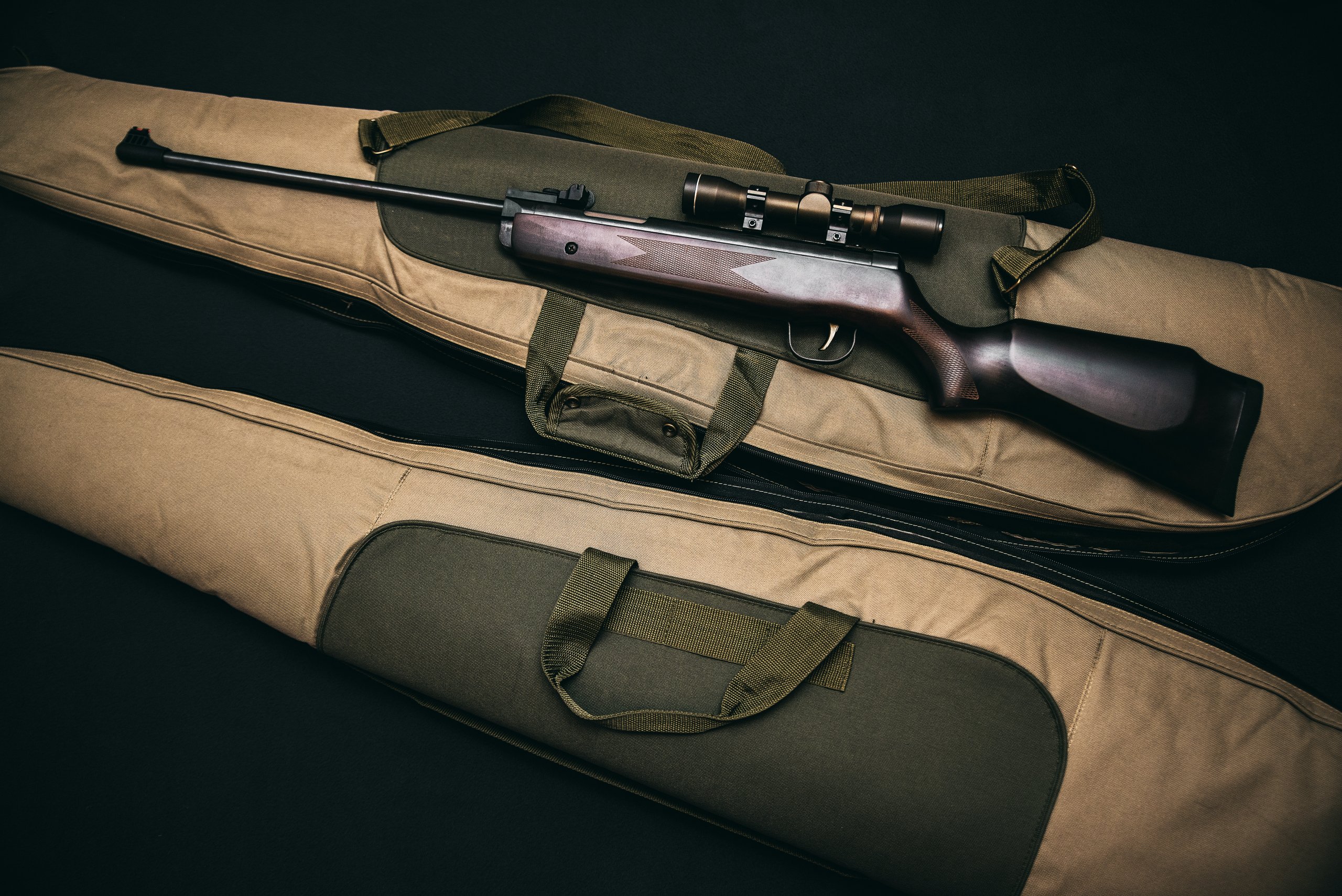 What to Consider Before Buying a Gun What to Consider Before Buying a Gun
